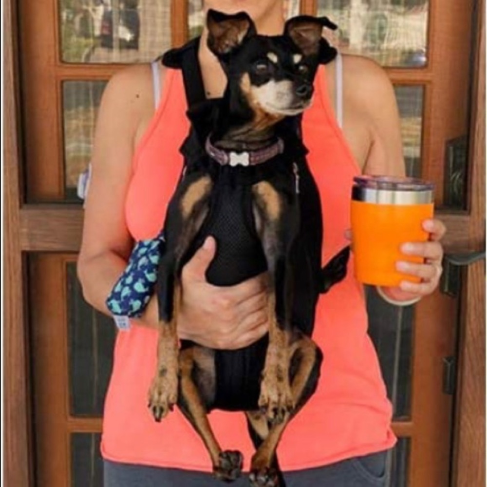 Small animal carrier